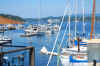 14-Friday Harbor-lunch.jpg (151109 bytes)
